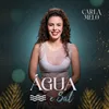 About Água e Sal Song