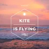 Kite is Flying