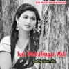 About Turi Wadrafnagar Wali Song