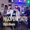 About Ngopeni Tatu Song