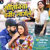 About Sautiniya Paneer Lagele Song