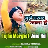 About Tujhe Marghat Jana Hai Song