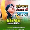 About Tujhe Pakar Jamane Ki Wafa Song