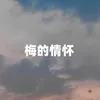 About 梅的情怀 Song