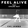 About Feel Alive Song