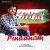 About Pindanam Song