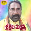 Srishaila Mallanna