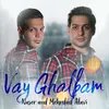 About Vay Ghalbam Song