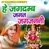 About He Jagdamb Jagat Jagjanani Song