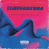 About Temperatura Song