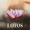 About Lotos Song