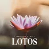 Lotos