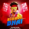 About BIHARI HAI BHA Song