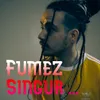 About Fumez singur Song