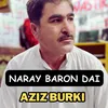 About Naray Baron Dai Song