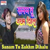About Sanam Tu Zakhm Dihalu Song