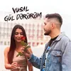 About Gül dərərəm Song