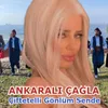 Çiftetelli Gönlüm Sendedir