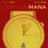 About Ceas la mână Song