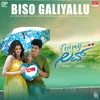 About Biso Galiyallu Song