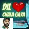 About Dil Chala Gaya Song