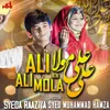 About Ali Ali Mola (AS) Song
