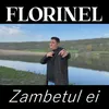 About Zambetul ei Song