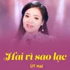 About Hai Vì Sao Lạc Song