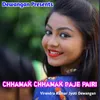 About Chhamak Chhamak Baje Pairi Song