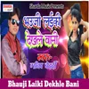 About Bhauji Laiki Dekhle Bani Song