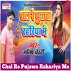 About Chal Re Pujawa Rahariya Me Song