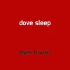 About dove sleep Song