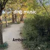 About ding music Song