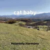 About cat baby Song