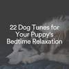 Ultimate Calm Meditative Music for your Dog, Pt. 1