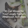 Comforting Cat Music, Pt. 4