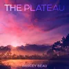 The Plateau