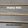 About many mix Song