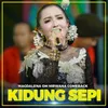 About KIDUNG SEPI Song