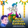 About Mere Krishna Kanhaiya Song