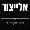 About למה שיקרת לי Song