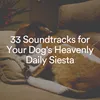 Home and Away Dog Soothing Music, Pt. 1