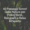 Musica rilassante per meditazioni oceaniche, pt. 11