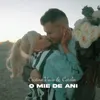 About O Mie De Ani Song