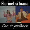 About Foc Si Pulbere Song