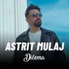 About Dilema Song