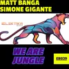 About WE ARE JUNGLE Song