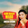 About Aahin Bhagan Waro Song