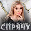 About Спрячу Song