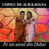 About Pe tot aurul din Dubai Song